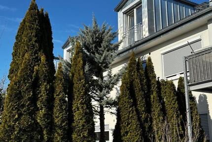 Wohnung Neuburg an der Donau - 2 Zimmer, 65 m&sup2;, 760&euro; | Angebot:24860762