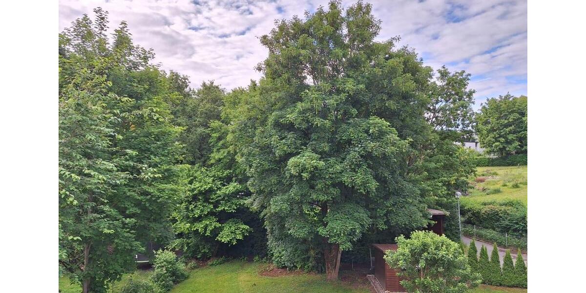 Etagenwohnung Eichstätt - 1 Zimmer, 31 m&sup2;, 550&euro; | Angebot:25626149