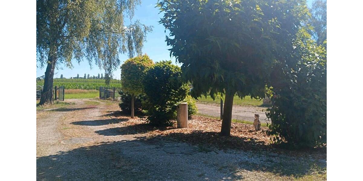 Einfamilienhaus Geisenfeld - 4 Zimmer, 120 m&sup2;, 599.000&euro; | Angebot:27023829