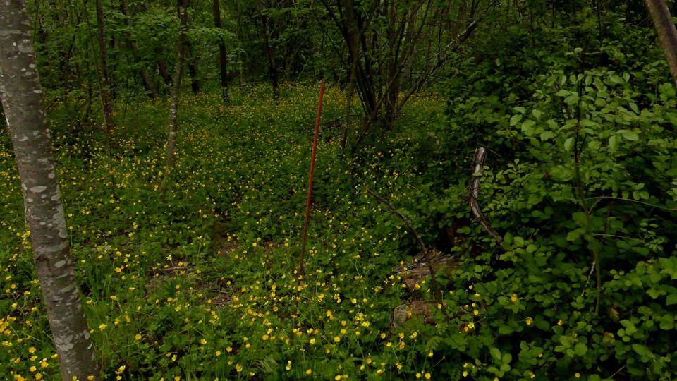 Doppelhaushälfte Wolnzach - 6 Zimmer, 80 m&sup2;, 111.111&euro; | Angebot:25366134