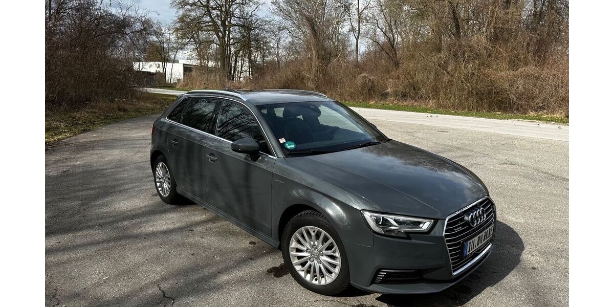 Audi A3 133.000 km 18.200 &euro; Ingolstadt 85053