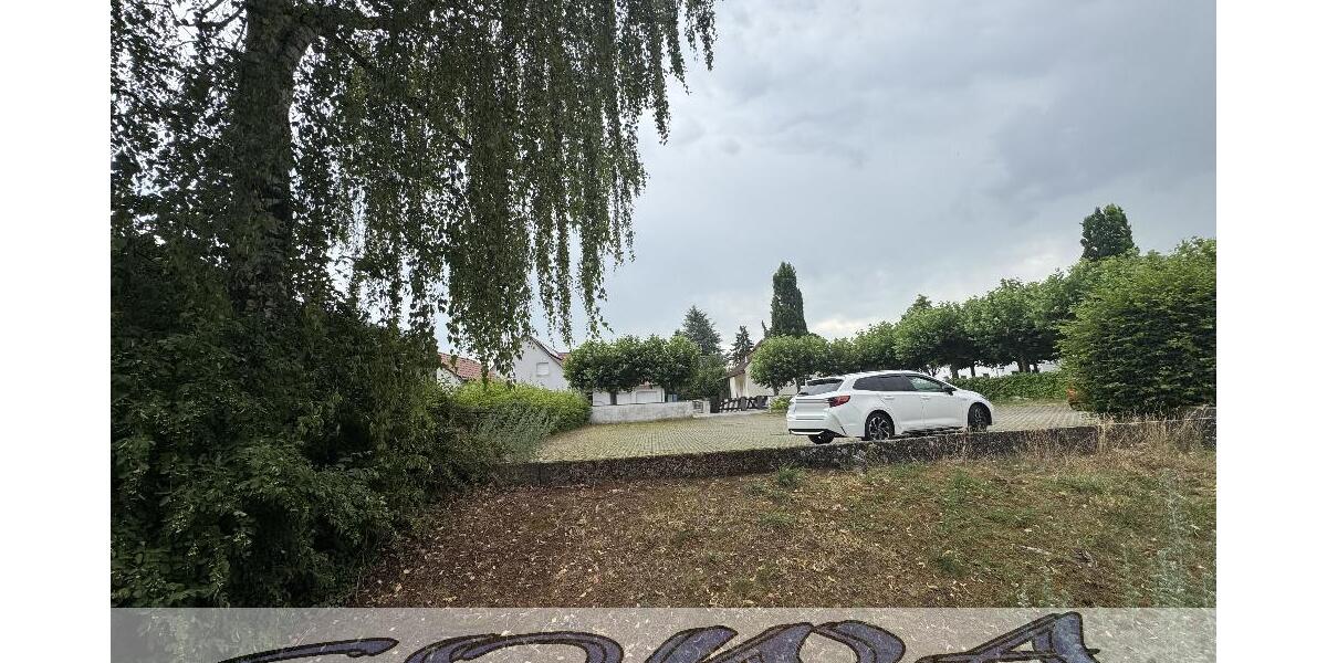 Baugrundstück in Neuburg Ostend - genemigter Vorbescheid für 5 Familienhaus liegt vor - Ein Objekt von Ihrem Immobilienpartner SOWA Immobilien und Finanzen - Grundstück Neuburg | Angebot:26976157