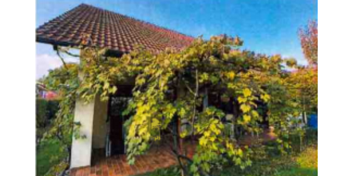 Einfamilienhaus Ingolstadt Nordost - 6 Zimmer, 220 m&sup2;, 729.000&euro; | Angebot:23406329