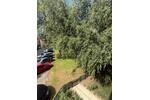 Erdgeschoßwohnung Ingolstadt Südost - 2 Zimmer, 56 m&sup2;, 225.000&euro; | Angebot:26992258
