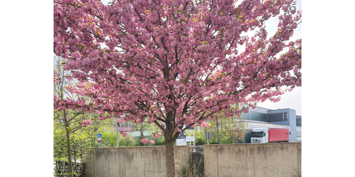 Mehrfamilienhaus, Wohnhaus Ingolstadt Südost - 3.5 Zimmer, 100 m&sup2;, 679.000&euro; | Angebot:25866741