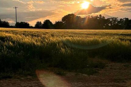 Wohnung Großmehring - 6 Zimmer, 160 m&sup2;, 1.826&euro; | Angebot:25978827