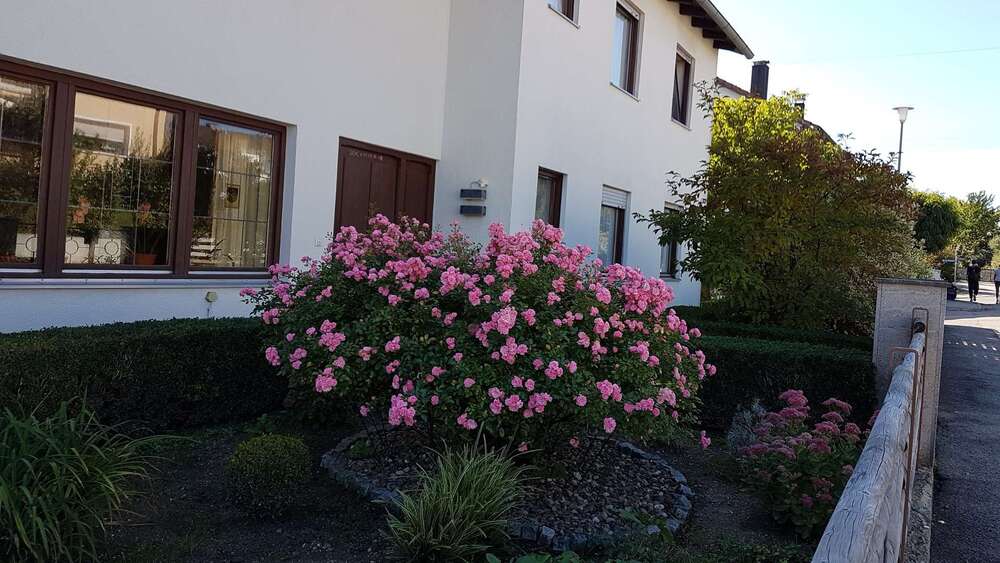 Einfamilienhaus Eichstätt - 9 Zimmer, 232 m&sup2;, 610.000&euro; | Angebot:25917146