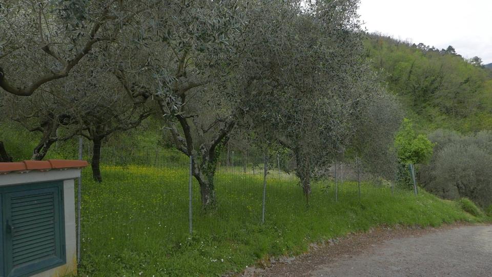 Doppelhaushälfte Wolnzach - 6 Zimmer, 80 m&sup2;, 111.111&euro; | Angebot:25366134