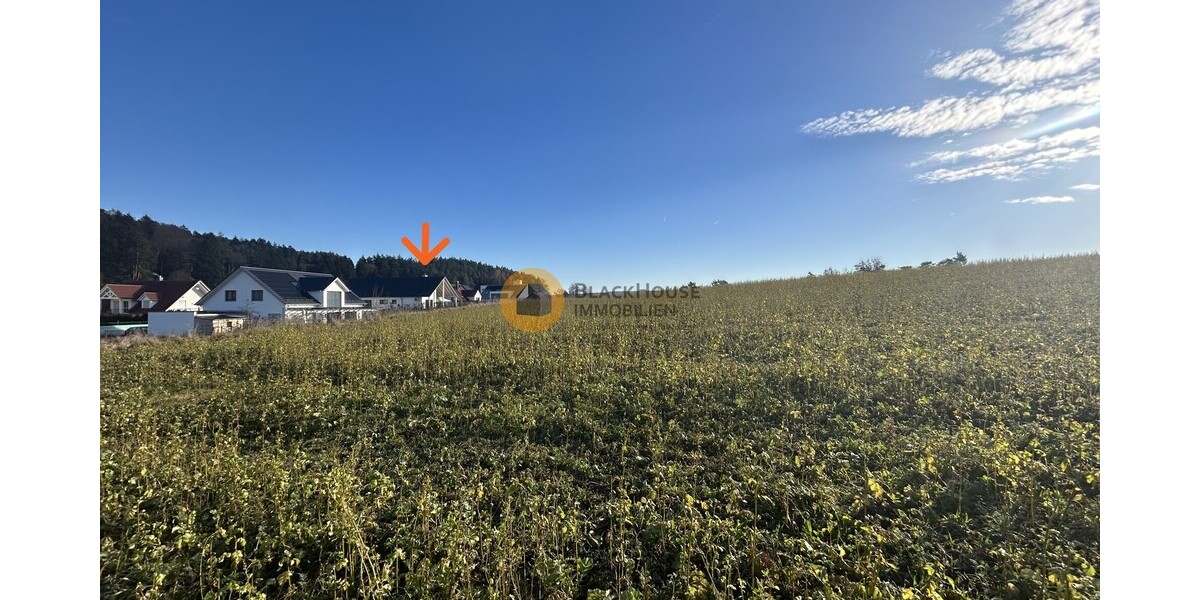 High-End Einfamilienhaus mit Einliegerwohnung in Bayern: zum Flughafen MUC 39km - Einfamilienhaus M-Scheyern Scheyern | Angebot:25933558