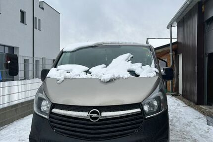 Opel Vivaro 250.000 km 13.000 &euro; Stammham 85134