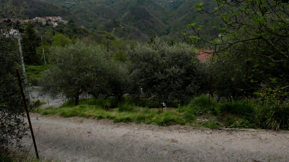 Doppelhaushälfte Wolnzach - 6 Zimmer, 80 m&sup2;, 111.111&euro; | Angebot:25366134