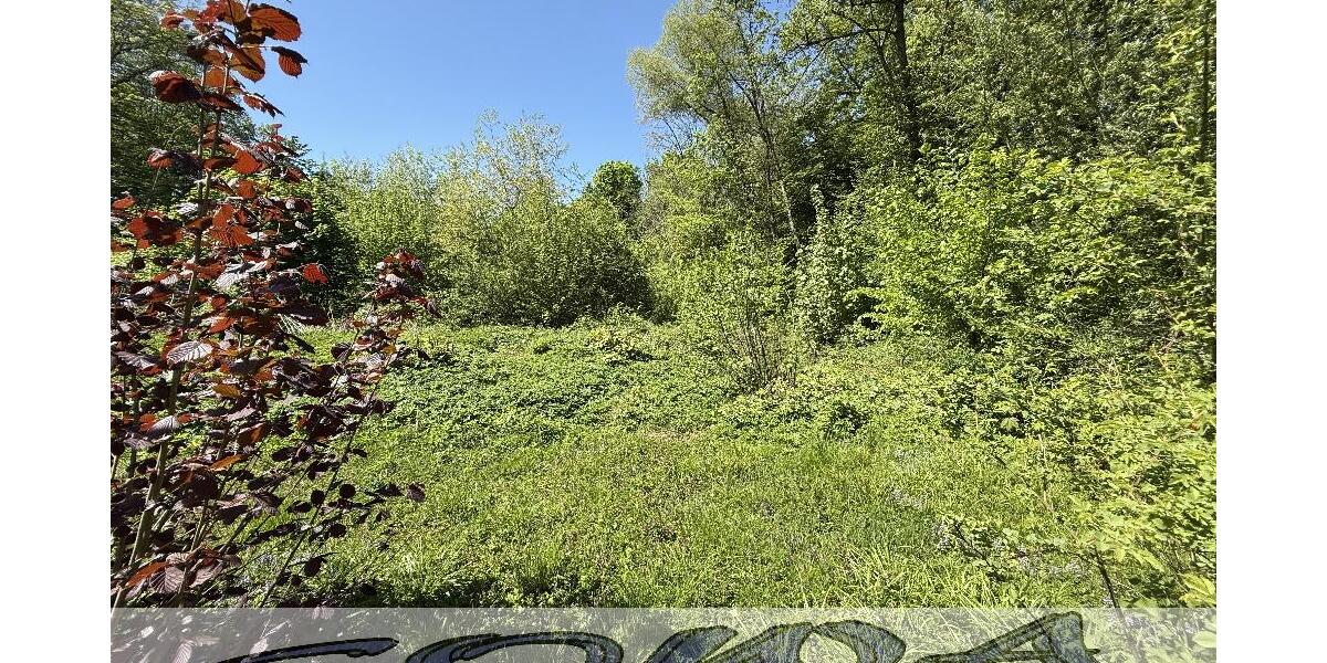 Attraktives Haus mit Ausbaupotential und mit großzügigem Grundstück und Waldfläche in Weichering - Ein Objekt von Ihrem Immobilienpartner SOWA Immobilien und Finanzen - Einfamilienhaus Weichering | Angebot:26060386