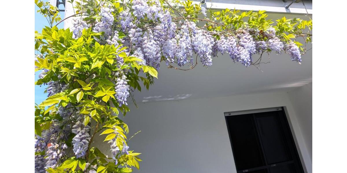 Etagenwohnung Ingolstadt Nordost - 4 Zimmer, 109 m&sup2;, 569.000&euro; | Angebot:25407977