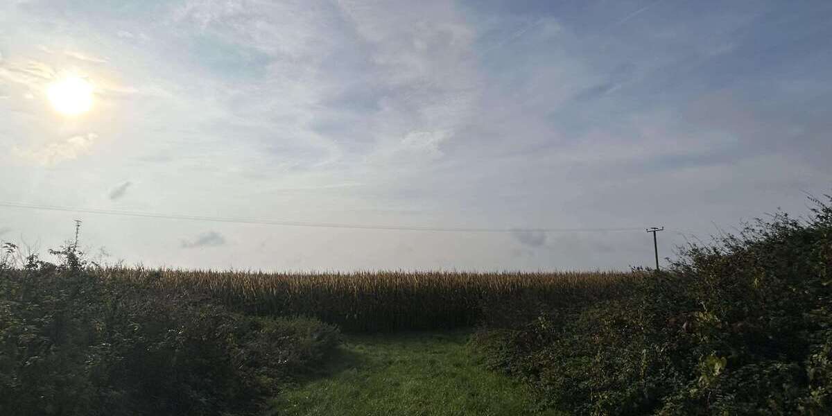 Grundstück Karlshuld - 324.000&euro; | Angebot:25409696