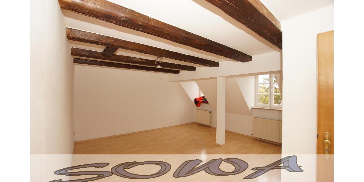 Schöne 3 Zimmer Wohnung im Zentrum mit Blick auf das Schloss in Neuburg zu vermieten - Ein neues Zuhause von SOWA Immobilien und Finanzen Ihr Experte vor Ort - 3- Neuburg | Angebot:26972364