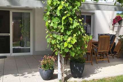 Haus Pfaffenhofen - 6 Zimmer, 145 m&sup2;, 1.850&euro; | Angebot:25774427