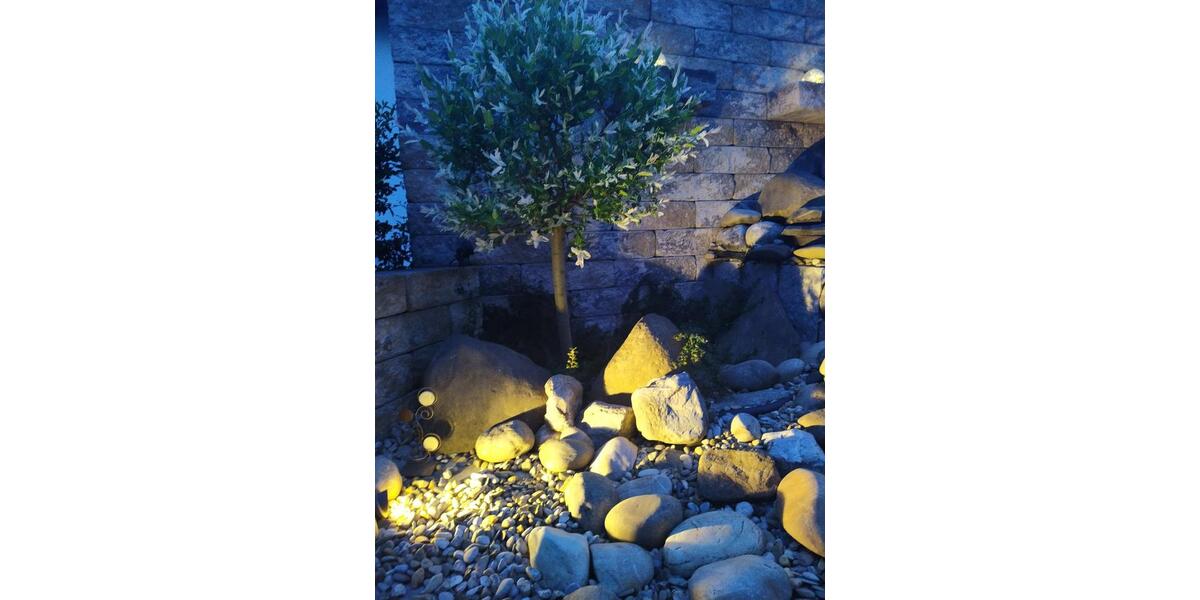 Etagenwohnung Ingolstadt Nordost - 4 Zimmer, 109 m&sup2;, 569.000&euro; | Angebot:25407977