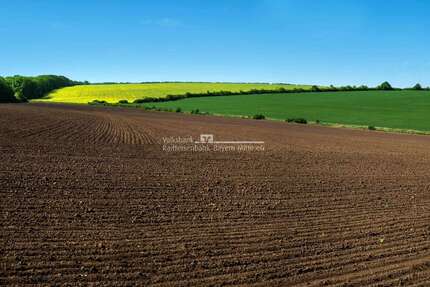 Grundstück Vohburg - 59.000&euro; | Angebot:25477549