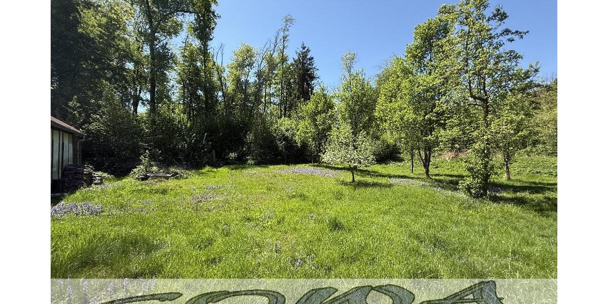 Attraktives Haus mit Ausbaupotential und mit großzügigem Grundstück und Waldfläche in Weichering - Ein Objekt von Ihrem Immobilienpartner SOWA Immobilien und Finanzen - Einfamilienhaus Weichering | Angebot:26060386