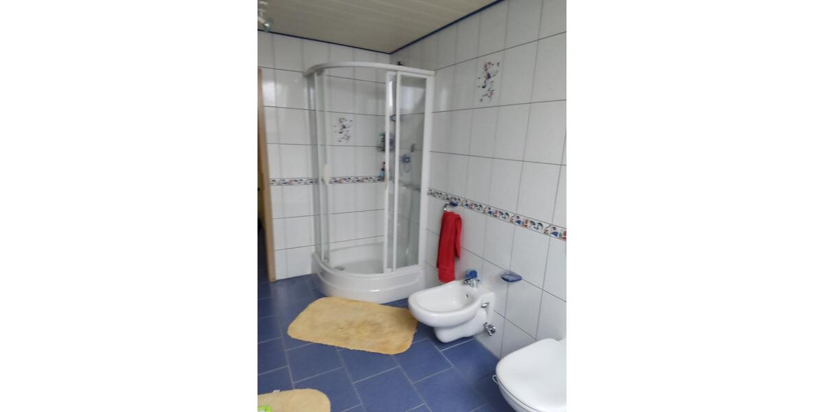 Dachgeschoßwohnung Wolnzach - 1 Zimmer, 12 m&sup2;, 32&euro; | Angebot:25148501