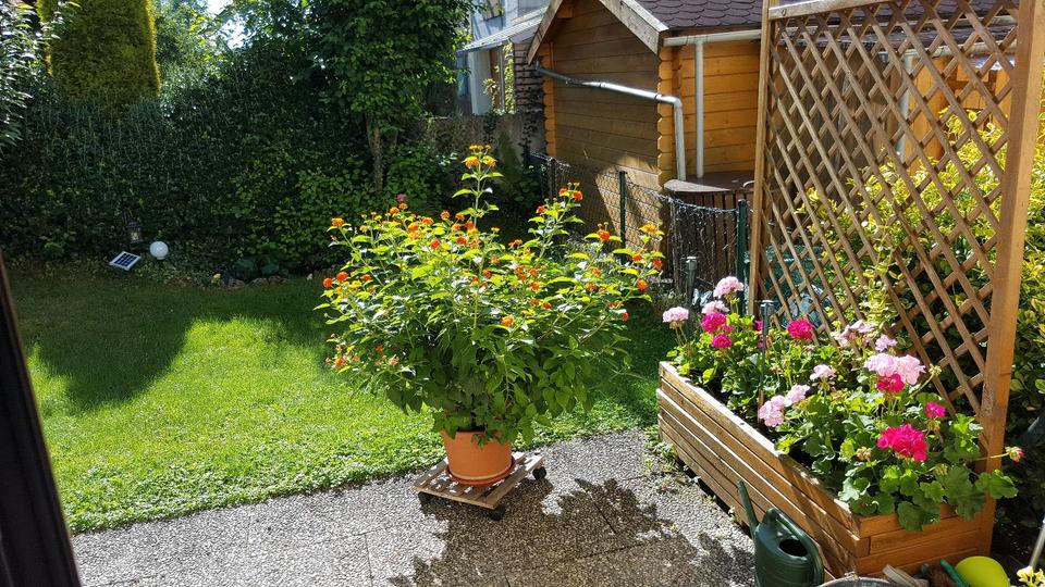 Erdgeschoßwohnung Schrobenhausen - 2 Zimmer, 56 m&sup2;, 236.000&euro; | Angebot:25294817