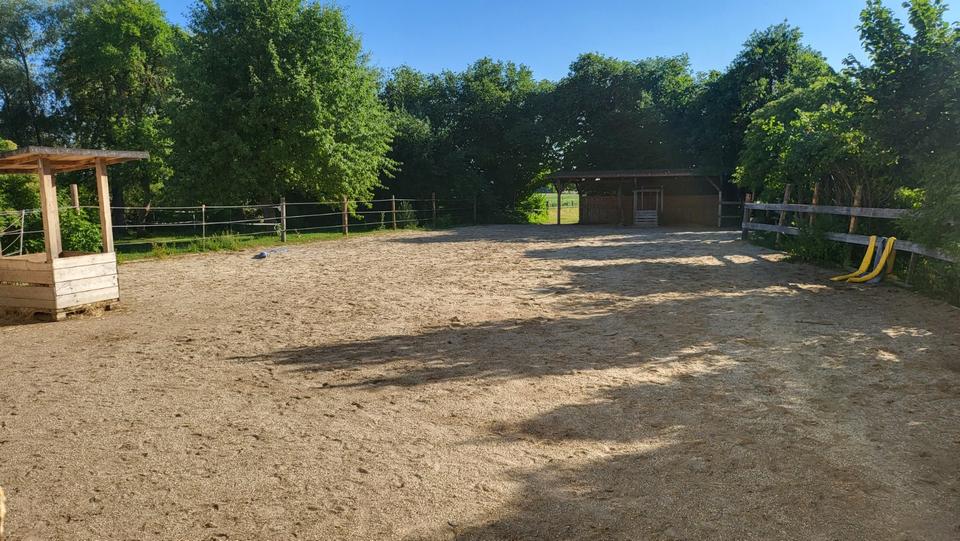 Bauernhaus, Landhaus Münchsmünster - 5 Zimmer, 160 m&sup2;, 1.820&euro; | Angebot:25958704