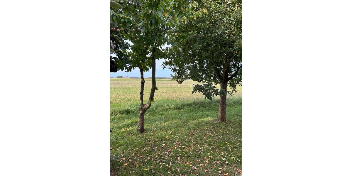 Reihenhaus Ingolstadt Nordost - 4 Zimmer, 160 m&sup2;, 700.000&euro; | Angebot:25304971