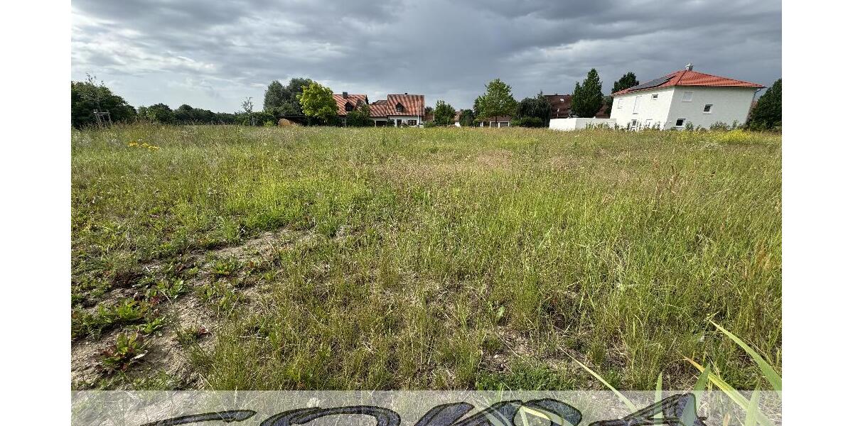 Gut geschnittenes Baugrundstück ohne Bauzwang in Neuburg Heinrichsheim - Ein Objekt von Ihrem Immobilienpartner SOWA Immobilien und Finanzen - Grundstück Neuburg | Angebot:26972365