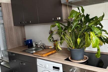 Wohnung Neuburg an der Donau - 3 Zimmer, 65 m&sup2;, 750&euro; | Angebot:26018692