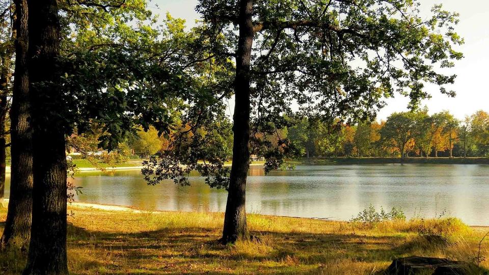 Etagenwohnung Ingolstadt Münchener Straße - 3 Zimmer, 67 m&sup2;, 455.000&euro; | Angebot:24981742