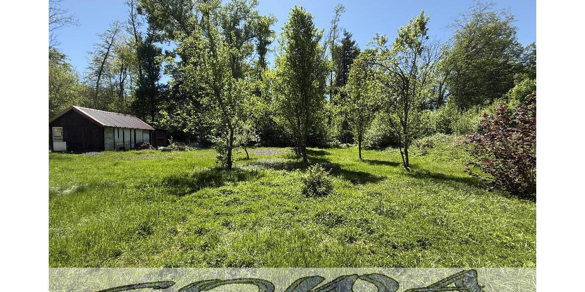 Attraktives Haus mit Ausbaupotential und mit großzügigem Grundstück und Waldfläche in Weichering - Ein Objekt von Ihrem Immobilienpartner SOWA Immobilien und Finanzen - Einfamilienhaus Weichering | Angebot:26060386