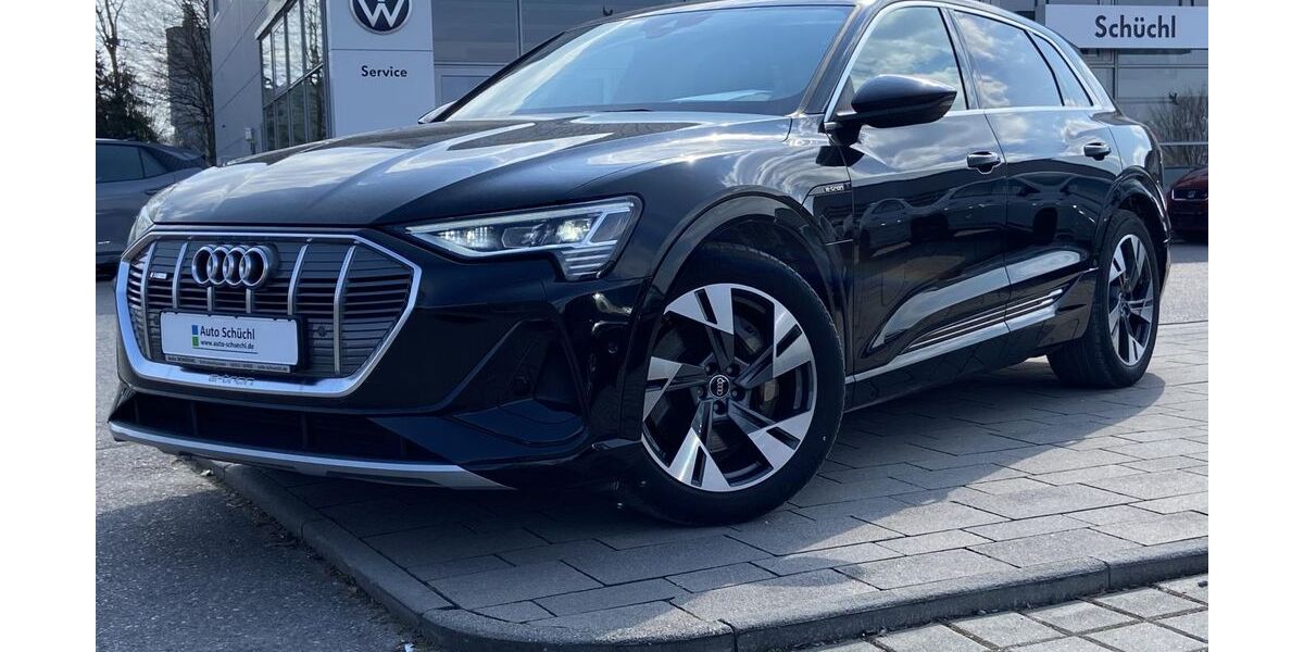 Audi e-tron 40.984 km 35.648 &euro; Schrobenhausen-Edelshsn. 86529