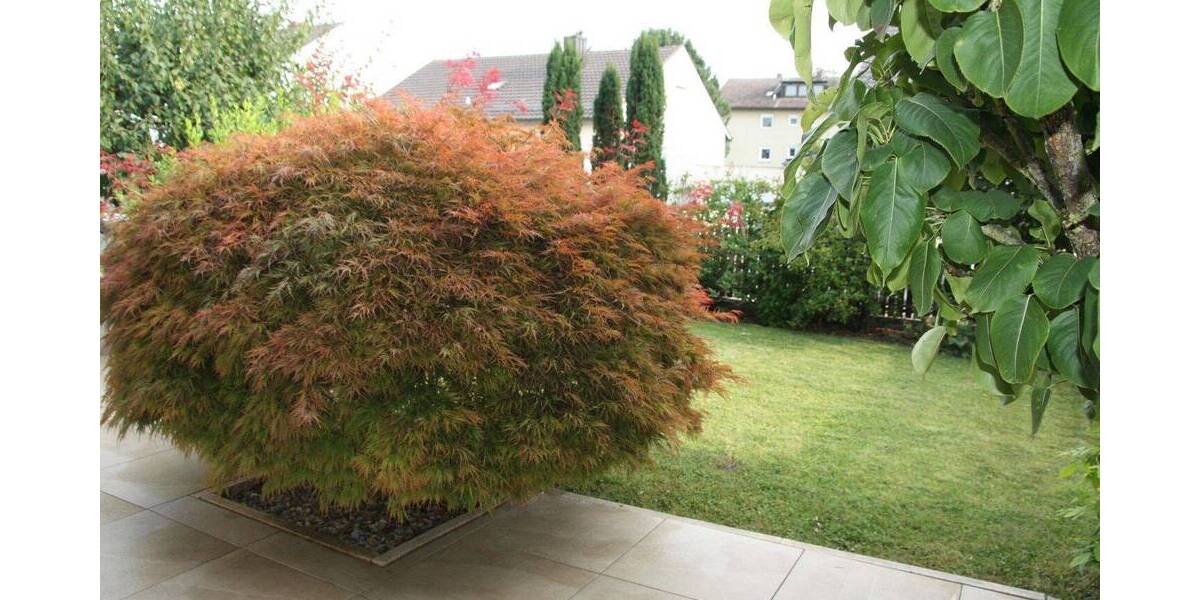 Doppelhaushälfte Stammham - 5 Zimmer, 137 m&sup2;, 549.000&euro; | Angebot:26673002