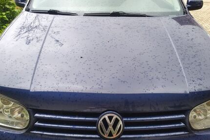 VW Golf 257.000 km 600 &euro; Scheyern 85298