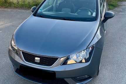 Seat Ibiza 168.220 km 4.000 &euro; Oberdolling 85129