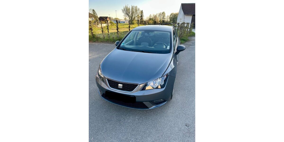 Seat Ibiza 168.220 km 4.000 &euro; Oberdolling 85129