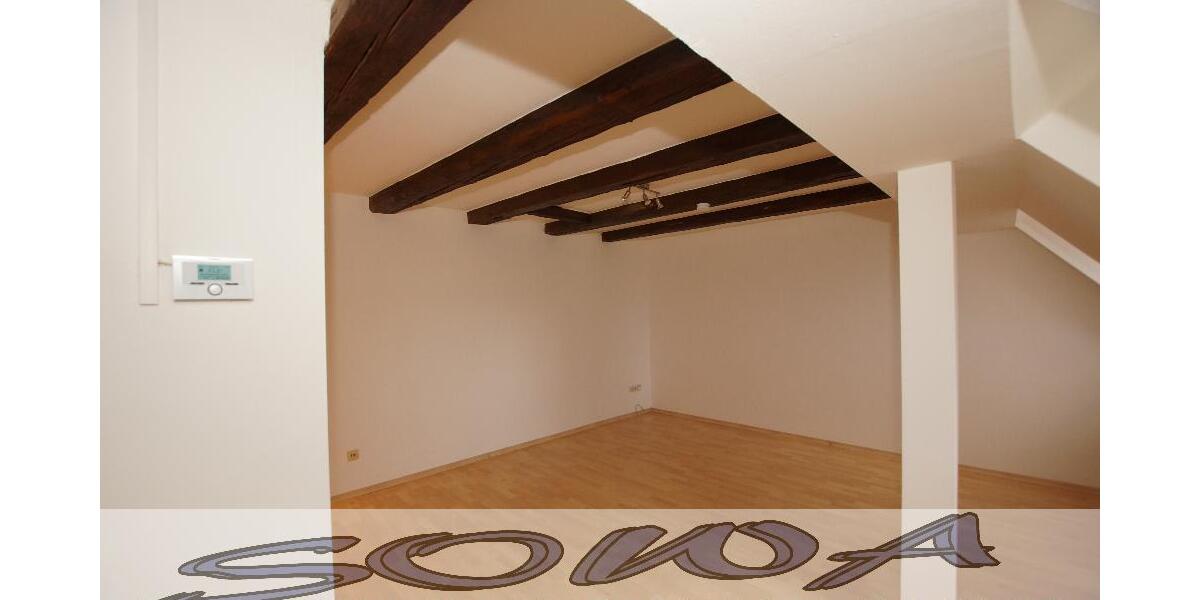 Schöne 3 Zimmer Wohnung im Zentrum mit Blick auf das Schloss in Neuburg zu vermieten - Ein neues Zuhause von SOWA Immobilien und Finanzen Ihr Experte vor Ort - 3- Neuburg | Angebot:26972364