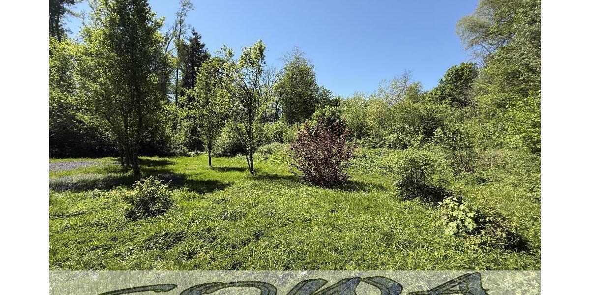 Attraktives Haus mit Ausbaupotential und mit großzügigem Grundstück und Waldfläche in Weichering - Ein Objekt von Ihrem Immobilienpartner SOWA Immobilien und Finanzen - Einfamilienhaus Weichering | Angebot:26060386