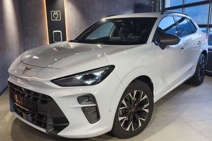 Cupra Terramar 25.062 km 33.450 &euro; Riedenburg 93339