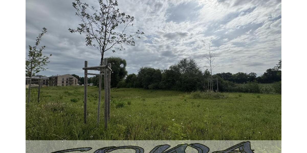 Gut geschnittenes Baugrundstück ohne Bauzwang in Neuburg Heinrichsheim - Ein Objekt von Ihrem Immobilienpartner SOWA Immobilien und Finanzen - Grundstück Neuburg | Angebot:26972365