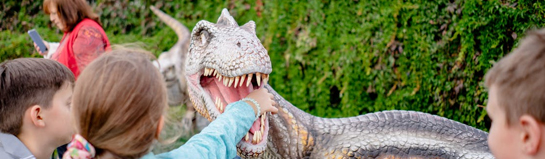 Dinosaurier Museum Altmühltal AltmühlBOB Riedenburg Waldkletterpark Ingolstadt Route