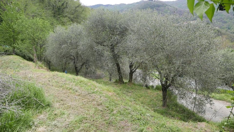 Doppelhaushälfte Wolnzach - 6 Zimmer, 80 m&sup2;, 111.111&euro; | Angebot:25366134