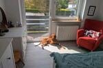 Reihenhaus Ingolstadt - 5 Zimmer, 100 m&sup2;, 1.400&euro; | Angebot:26527514
