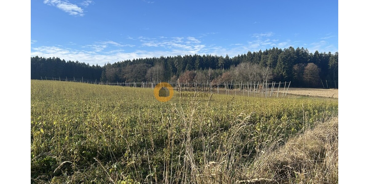 High-End Einfamilienhaus mit Einliegerwohnung in Bayern: zum Flughafen MUC 39km - Einfamilienhaus M-Scheyern Scheyern | Angebot:25933558