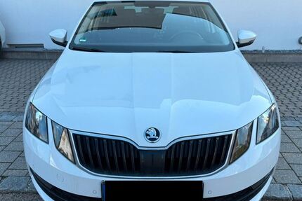 Skoda Octavia 142.000 km 14.000 &euro; Neustadt an der Donau 93333