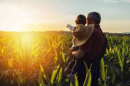 Sonstige Rohrbach - 85.200&euro; | Angebot:23368435