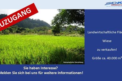 Großzügige Landwirtschaftsfläche Wiese in Königsmoos, evtl. Ausgleichsfläche oder PV - Ein Objekt von SOWA Immobilien & Finanzen Ihrem Immobilienprofi vor Ort - Grundstück Königsmoos | Angebot:26262699