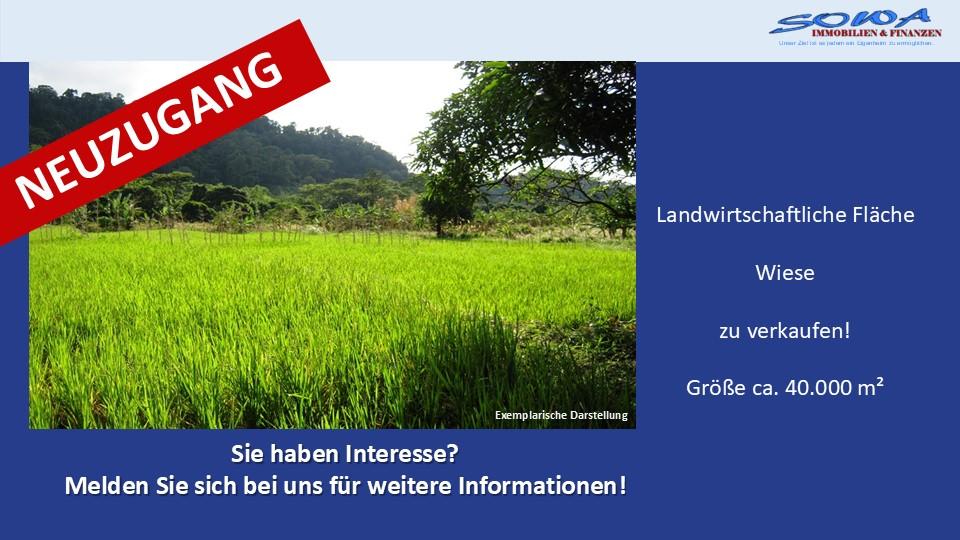 Großzügige Landwirtschaftsfläche Wiese in Königsmoos, evtl. Ausgleichsfläche oder PV - Ein Objekt von SOWA Immobilien & Finanzen Ihrem Immobilienprofi vor Ort - Grundstück Königsmoos | Angebot:26262699