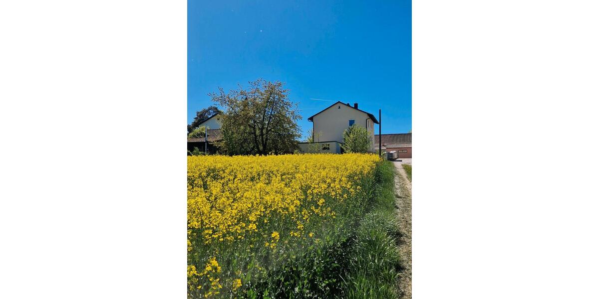 Einfamilienhaus Kösching - 7 Zimmer, 160 m&sup2;, 350.000&euro; | Angebot:26443838