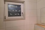 Erdgeschoßwohnung Eichstätt - 1 Zimmer, 24 m&sup2;, 390&euro; | Angebot:27622525